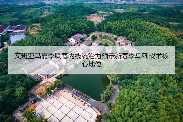 文班亚马夏季联赛内线统治力预示新赛季马刺战术核心地位