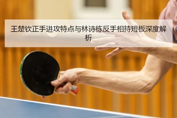 wang-chu-qin-zheng-shou-jin-gong-te-dian-yu-lin-shi-dong-fan-shou-xiang-chi-duan-ban-shen-du-jie-xi-3-580.jpg